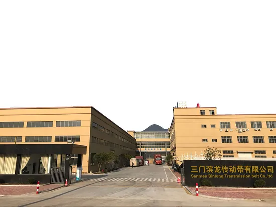 Double Sided Ribbed Poly V-Belts Ribbed Dpk Pk