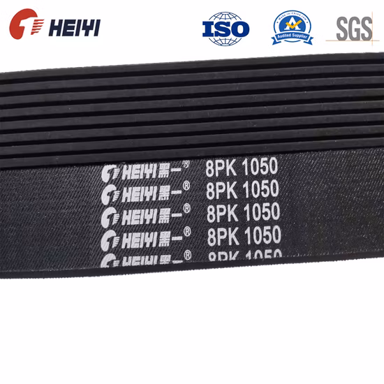 EPDM 6pk1665/ 4pk855/ 6pk1565 Fan Belt Automotive Belt/ Engine Ribbed/ Rubber V Belt for Car