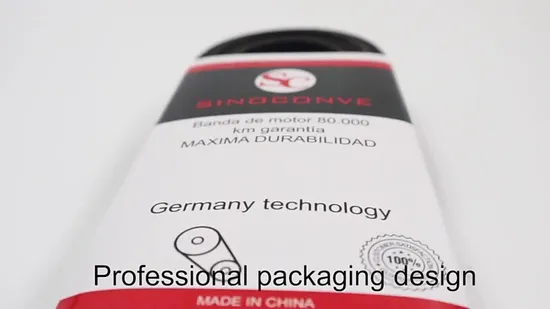 6pk1600 EPDM Rubber V Ribbed Pk Drive Belt for Car